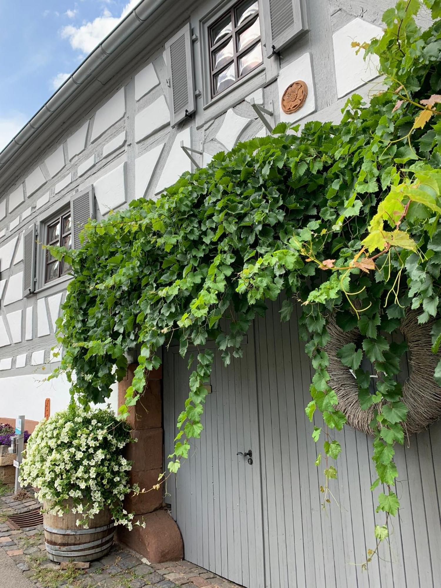 Ferienwohnung Sambachhaus Гляйсцеллен-Гляйсгорбах Екстер'єр фото